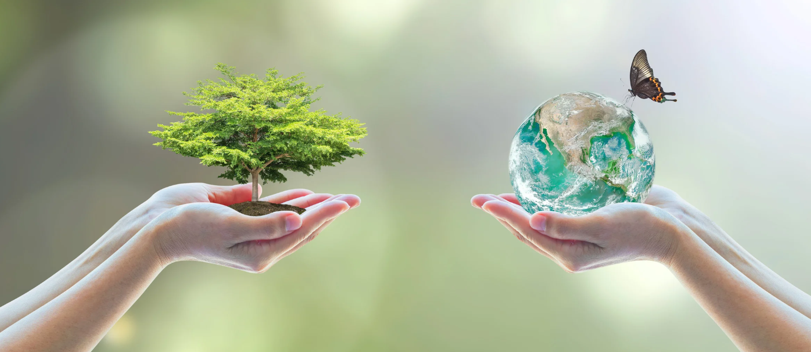 5 Business Benefits of WEEE Compliance