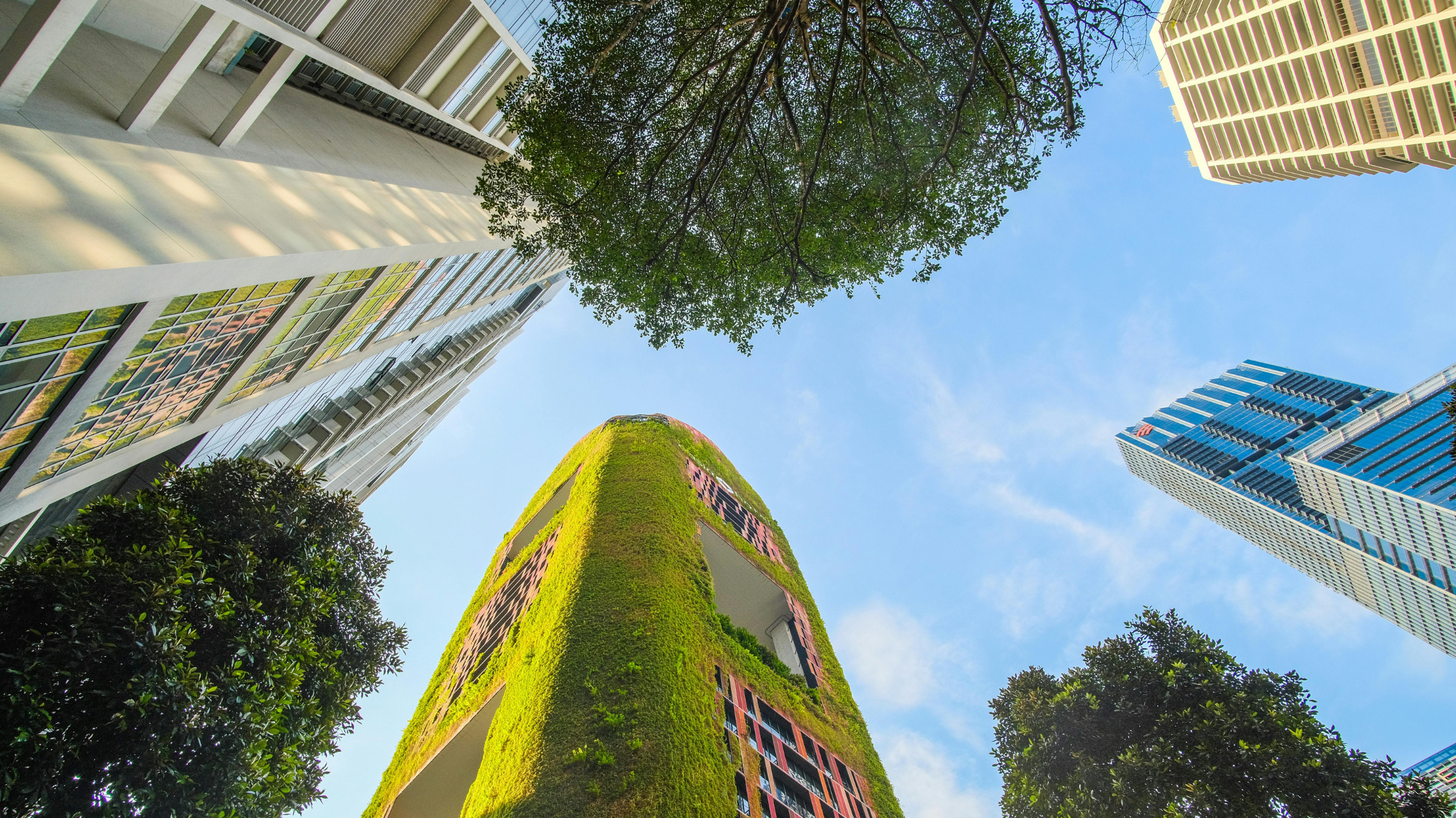 environmental objectives of the WEEE Directive