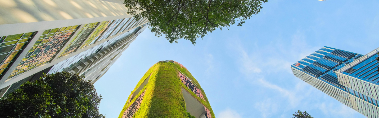 environmental objectives of the WEEE Directive