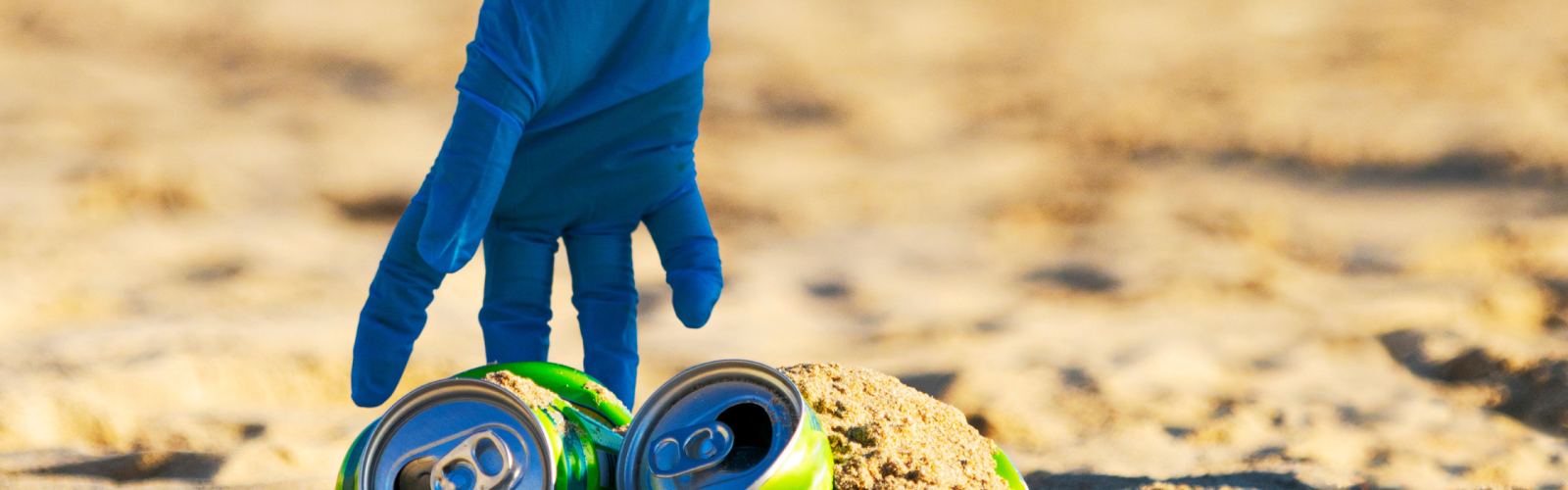 The role of the informal waste sector in EPR